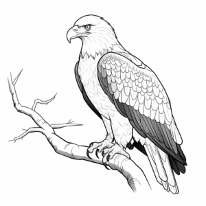 Majestic Bald Eagle Coloring Pages 4