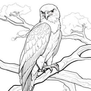 Majestic Bird of Prey Coloring Pages 3