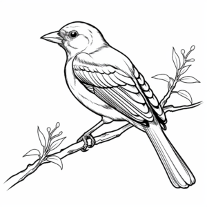 Majestic Black-naped Oriole Coloring Pages 2