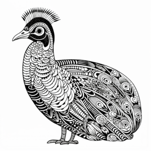 Malay Peacock-Pheasant: Inspiring Coloring Pages 2