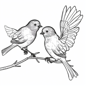 Mating Dance Oriole Coloring Page 4