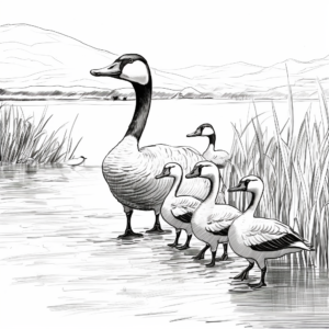 Migrating Canada Geese Coloring Sheets 2