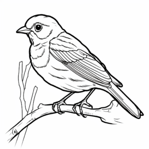 Migratory Red-Winged Blackbird Coloring Pages 3