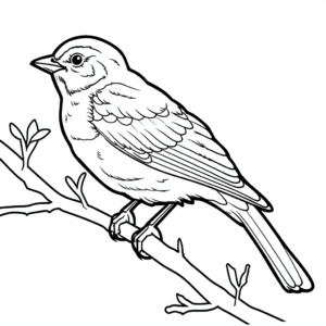 Migratory Red-Winged Blackbird Coloring Pages 4
