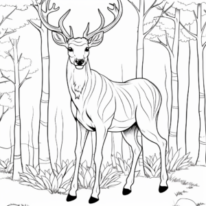 Moose Deer: The Giant of the Forest Coloring Pages 3