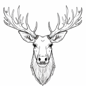 Moose Head Coloring Pages for Moose Lovers 1