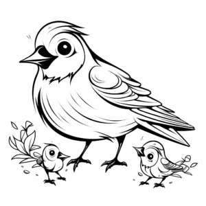 Mother and Chick Cardinal Coloring Sheets 1