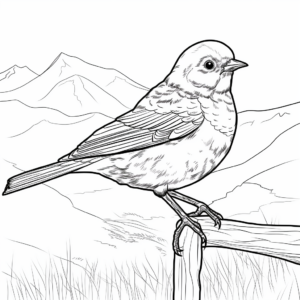Mountain Bluebird Coloring Pages for Kids 2