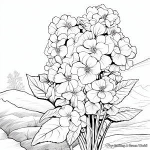 Mountain Hydrangea Coloring Pages 2
