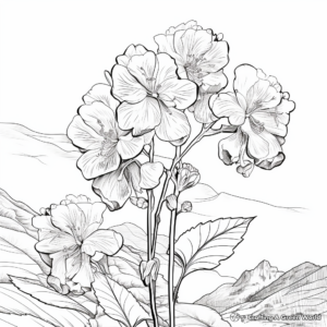 Mountain Hydrangea Coloring Pages 3