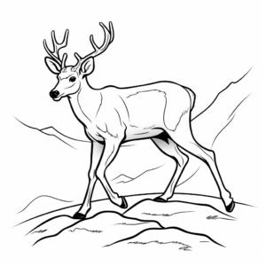 Mule Deer Track: Educational Coloring Pages 3