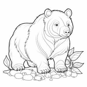 Native Australian Wombat Coloring Pages 2