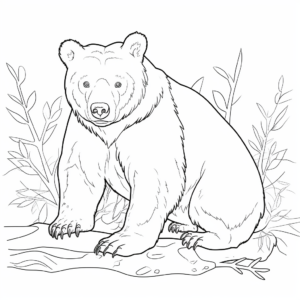Native Australian Wombat Coloring Pages 3