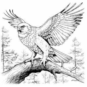 Northern Goshawk: A Spectacular Forest Hawk Coloring Page 1