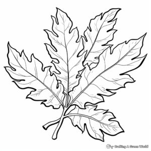 Oak Leaf Coloring Pages for Nature Lovers 2