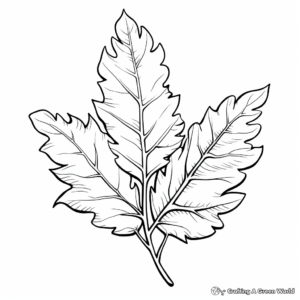 Oak Leaf Coloring Pages for Nature Lovers 3