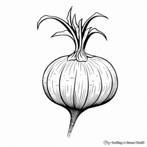 Onion Bulb and Flower: Life Cycle Coloring Pages 2