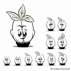 Onion Plant Growth Stages Coloring Pages 3