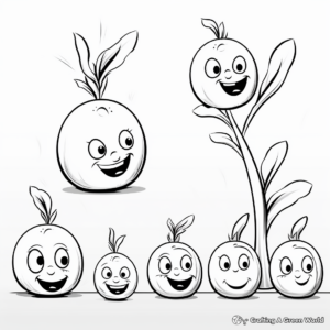 Onion Plant Growth Stages Coloring Pages 4