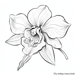 Orchid Flower Coloring Pages for Beginners 2