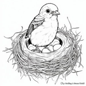 Oriole Nest and Juvenile Birds Coloring Pages 2