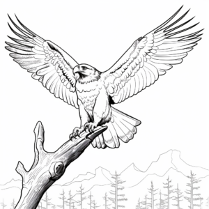 Osprey and Natural Habitat Coloring Pages 4