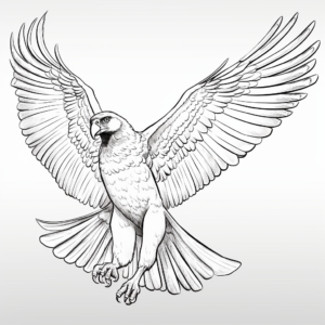 Osprey in Different Angles Coloring Pages 3