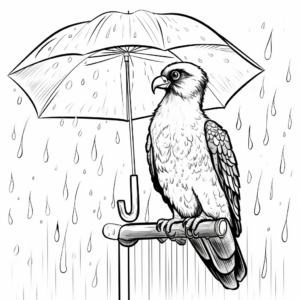 Osprey in The Rain Coloring Pages 4
