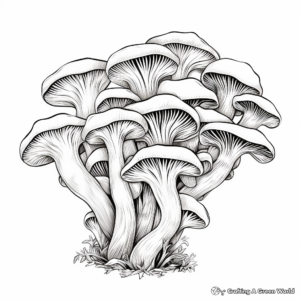 Oyster Mushroom Coloring Pages for All Ages 2