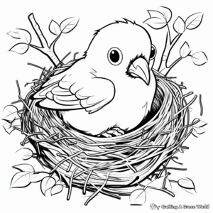 Paint by Number Bird Nest Coloring Page for Relaxation 2