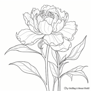 Peony Blossom Coloring Page: Close-up blooming petals 4