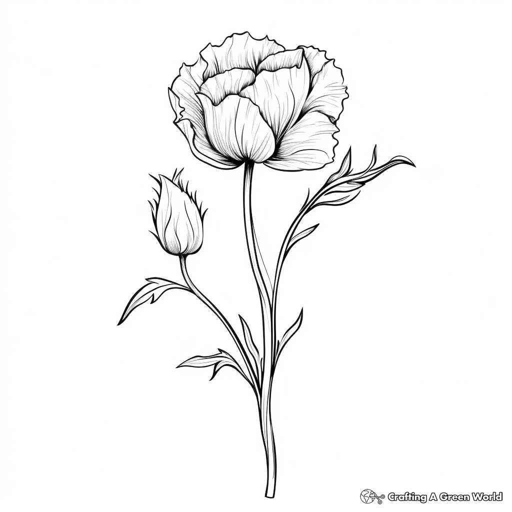 Peony Flower Coloring Pages: Bud, Bloom, and Wilted 1