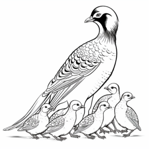 Pheasant Family Coloring Pages: Male, Female, and Chicks 1