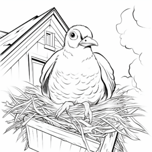 Pigeon Nest Coloring Pages for Children 2