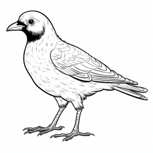 Playful Pied Crow Coloring Pages for Kids 1