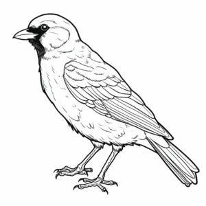 Playful Pied Crow Coloring Pages for Kids 2