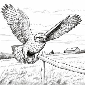 Prairie Falcon in Flight: Sky-Scene Coloring Pages 4