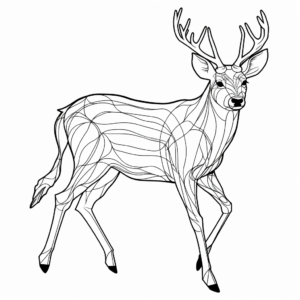 Prancing Sika Deer Coloring Pages 2