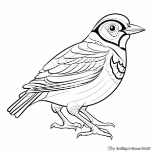 Printable Abstract Blue Jay Coloring Pages for Artists 1