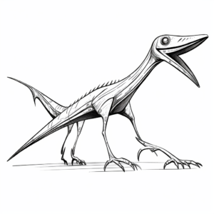 Printable Abstract Pteranodon Coloring Pages for Artists 3
