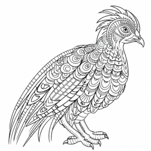 Printable and Intricate Tragopan Pheasant Coloring Pages 4
