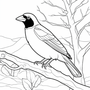 Printable Black-Billed Mountain Toucan Coloring Pages 2