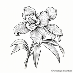 Printable Detailed Orchid Coloring Pages for Adults 2