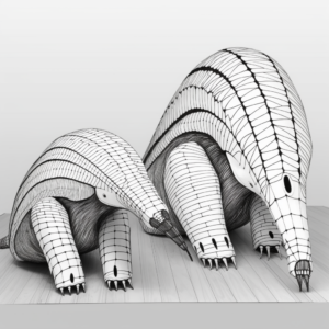 Printable Giant Anteater and Armadillo Side by Side Coloring Pages 4