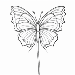 Printable Half Butterfly, Half Dahlia Coloring Pages 4