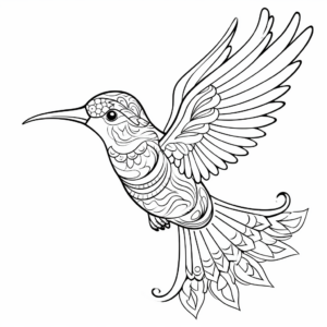 Printable Hummingbird Coloring Pages 4