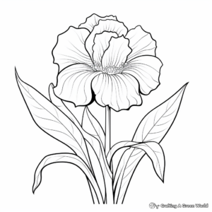 Printable Iris Flower Coloring Pages for Artists 3