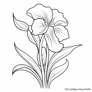 Printable Iris Flower Coloring Pages for Artists 4