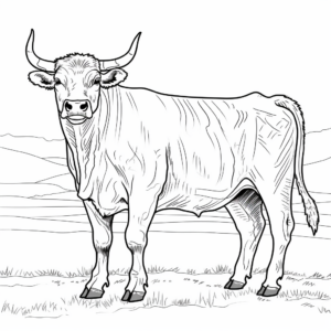 Printable Longhorn Steer Coloring Pages for All Ages 3