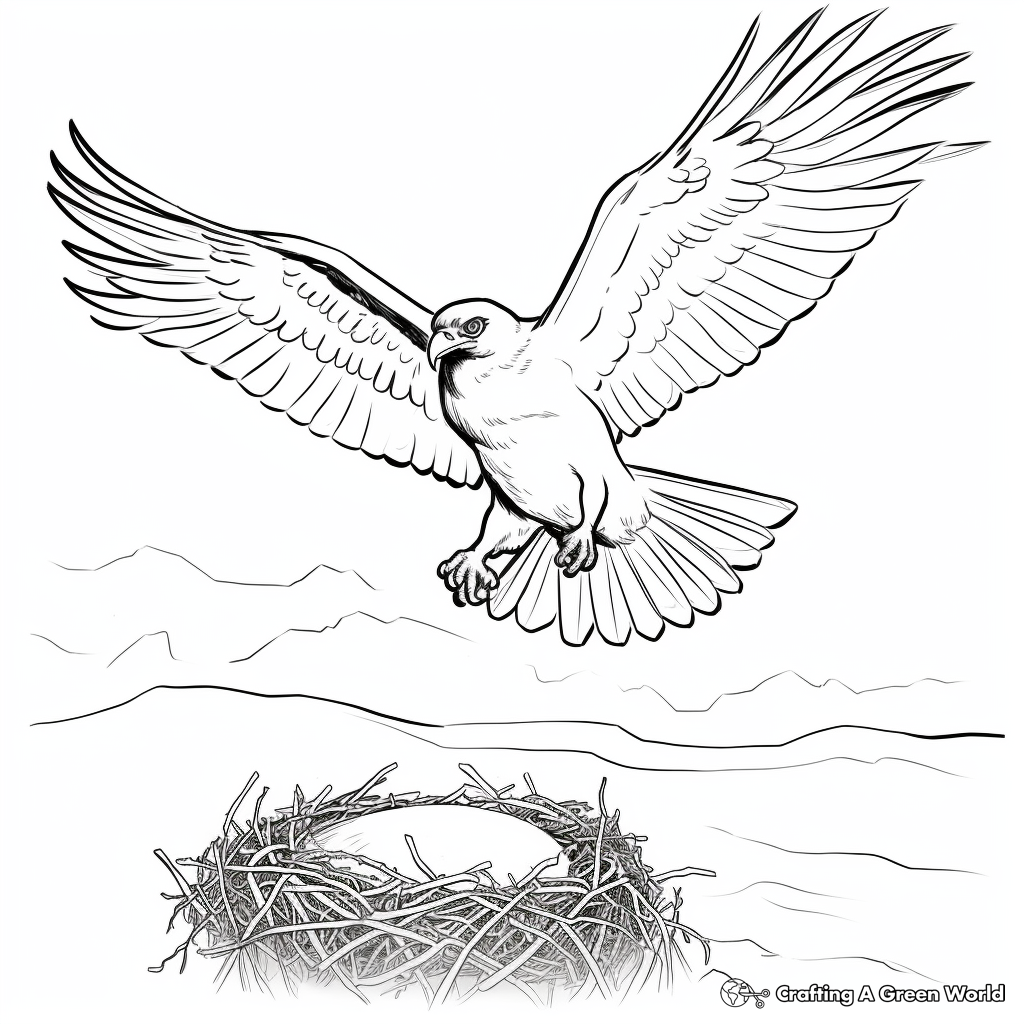 Printable Osprey Life Cycle Coloring Pages 2